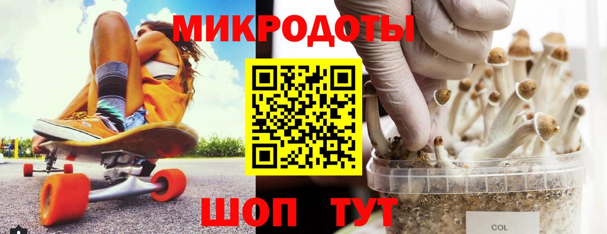 Галлюциногенные грибы Psilocybe Кинешма